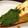あっくる's cooksnap of when they made おかかとネギの厚揚げ挟み焼き.