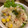 ぢぢぴちっちこ's cooksnap of when they made マヨ不使用♡長芋のポテトサラダ.