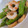 KAORULALA's cooksnap of when they made ちくわとししとうの簡単おつまみ.