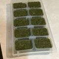 canadawhistler's cooksnap of when they made 青じそ（大葉）のペストソース.