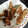クック6X280I☆'s cooksnap of when they made 今が旬♪さごしの竜田揚げ.