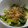 ヨシヨッシー's cooksnap of when they made 小松菜としらすのお浸し.