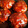 クックasclt☆'s cooksnap of when they made 簡単煮込みハンバーグふわふわ.