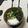おはなすき's cooksnap of when they made 黒豆納豆✿山芋とろ〜りねぎたっぷり丼！！.