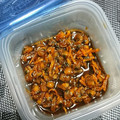 ショーちゃん★'s cooksnap of when they made 旨みたっぷりしじみの佃煮.