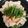 fukudoru's cooksnap of when they made もやしとニラのピリ辛豚しゃぶサラダ*✩.
