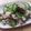きらり流れ星's cooksnap of when they made ゴーヤの炒めもの.