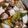 ya0521's cooksnap of when they made まぐろのすきみとお豆腐たいたん.