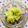 チェックのミニくま's cooksnap of when they made クリーミーな粉吹き芋.