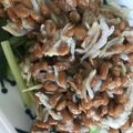 こつぶのおかあちゃま's cooksnap of when they made 細切り胡瓜のしらす納豆かけ.