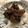 たいがちん's cooksnap of when they made * 簡単！すき焼き風豚丼 *.