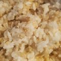 tmd612517's cooksnap of when they made 発芽玄米！玄米と水のみ！簡単！発芽.