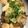 やーしー's cooksnap of when they made m鶏の甘辛わさび炒め.