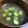 ゆうりママ's cooksnap of when they made もずくと豆腐のお吸い物.