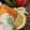 るるっぱ's cooksnap of when they made サーモンソテー　サワークリームソース添え.