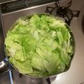 ミヨシノ's cooksnap of when they made キャベツの下処理の仕方.