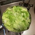 ミヨシノ's cooksnap of when they made キャベツの下処理の仕方.