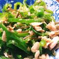 あにゃのママ's cooksnap of when they made 大量消費にピーマンとツナのあっさり和え.