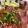 105♡'s cooksnap of when they made マグロの漬け丼.