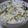 sweetc's cooksnap of when they made 大根の葉炊き込みご飯.