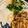 Lamyauka's cooksnap of when they made ポークチャップ.