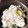 Rika☆Rin's cooksnap of when they made 枝豆としらすの混ぜご飯.