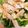 67luna's cooksnap of when they made 胡麻サラダ蕎麦.