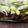 Device☆'s cooksnap of when they made 簡単！我が家の《枝豆の漬物…風》.