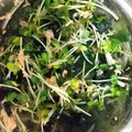 マリメッコキッチン's cooksnap of when they made かいわれ大根とワカメのシーチキン和え.