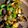 クックFDNPSU☆'s cooksnap of when they made 茄子とピーマンのみそしぎ.