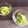 ハント☆'s cooksnap of when they made 簡単、ゴーヤの白ワイン炒め。.