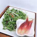 まこさんど's cooksnap of when they made 水菜と大葉のさっぱり漬け物.