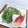 まこさんど's cooksnap of when they made 水菜と大葉のさっぱり漬け物.