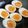 Coo1215's cooksnap of when they made お弁当すき焼きのタレで味付け卵.