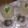 ミセル・エマルジョン's cooksnap of when they made ぷるぷる梅酒ゼリー.