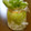ウルトラの次女's cooksnap of when they made 大根長持ちｯｯ!の保存法.