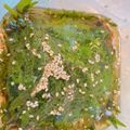 おとうさん（＾∇＾）'s cooksnap of when they made 大葉☆ごはんが止まらない！.