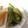 らんとこなん's cooksnap of when they made ししとうの煮浸し.