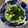 aiti's cooksnap of when they made ワカメと枝豆のサラダ～.
