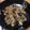 はにわん、's cooksnap of when they made 簡単スピードクッキング白菜のシーチキン煮.