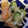 sakuume1's cooksnap of when they made サーモンと玉ねぎの粒マスタードマリネ.