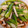 GABUちゃん's cooksnap of when they made オクラときのこのお浸し.