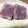 ✿ykyk✿'s cooksnap of when they made シュガーカットで小豆水羊羹なら太らない！.