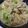 ここあおらぶ's cooksnap of when they made ﾂﾅとｷｬﾍﾞﾂとﾍﾟﾝﾈのサラダ.