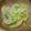生誕１９７３年独身男's cooksnap of when they made かんたん野菜料理　レタスのじゃこ炒め.