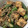 ダリアとガーベラ's cooksnap of when they made ほっこり◎厚揚げのひき肉和風餡かけ◎.