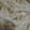 みか☆ん's cooksnap of when they made 簡単☆もやしのナムル.