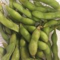 ～チョピコ～'s cooksnap of when they made フライパンで♪蒸し焼き枝豆.