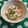 クックOWPJU3☆'s cooksnap of when they made カイワレとキャベツの☆ポン酢マヨサラダ.