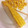 kpえもん♪'s cooksnap of when they made 根元からぽろぽろトウモロコシの実の取り方.